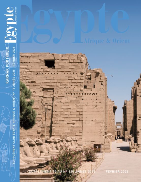 KARNAK PORTFOLIO